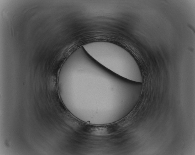 X0000093430361200710120922