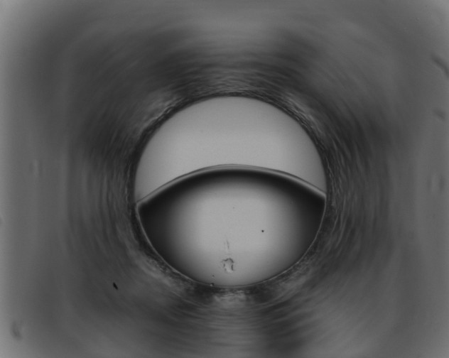 X0000093430362200710120922