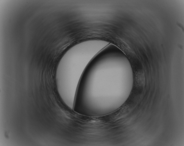 X0000093430364200710120922