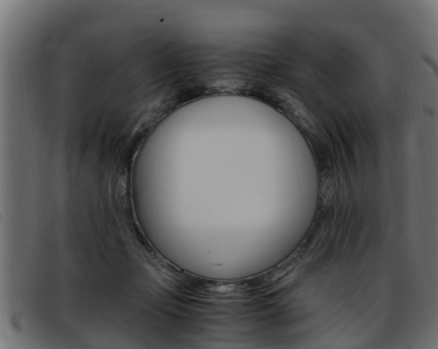 X0000093430365200710120922