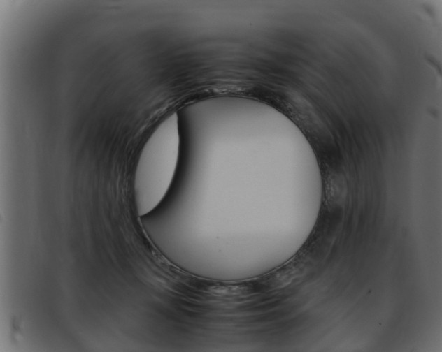 X0000093430367200710120922