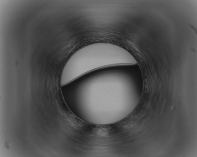 X0000093430368200710120922