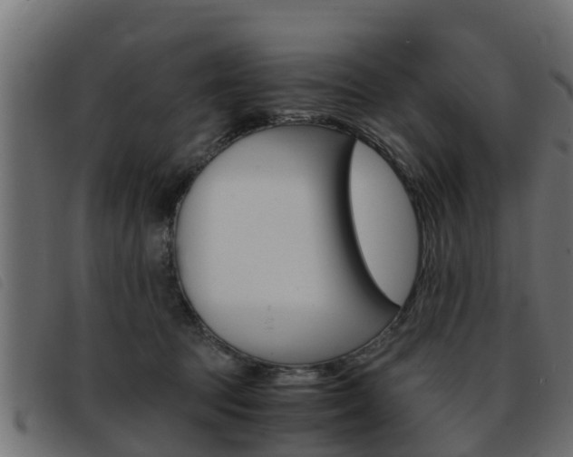 X0000093430369200710120922