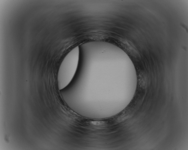 X0000093430371200710120922