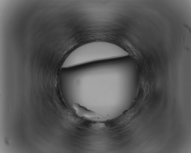 X0000093430374200710120922