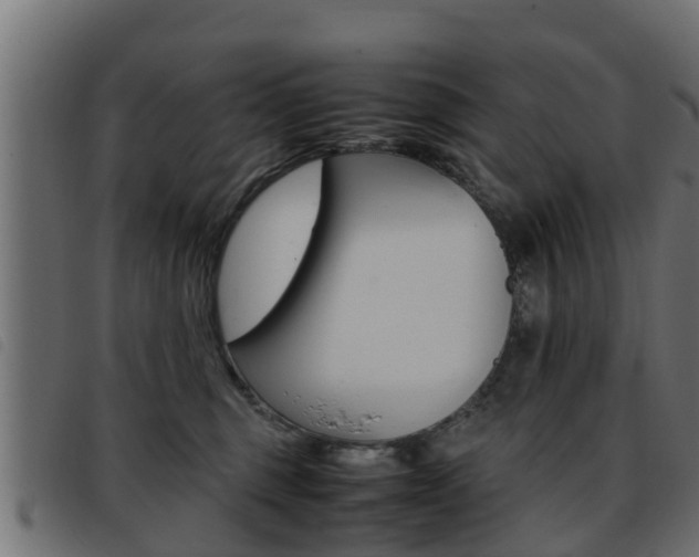 X0000093430375200710120922