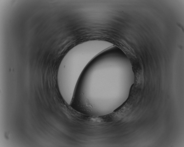 X0000093430376200710120923