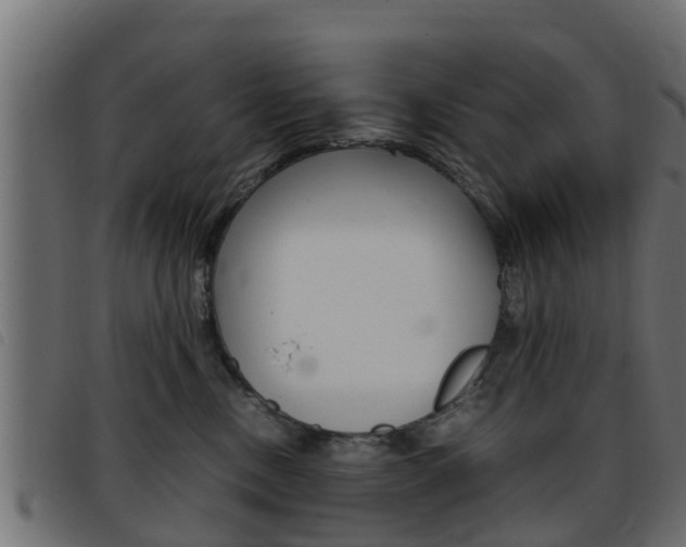 X0000093430378200710120923