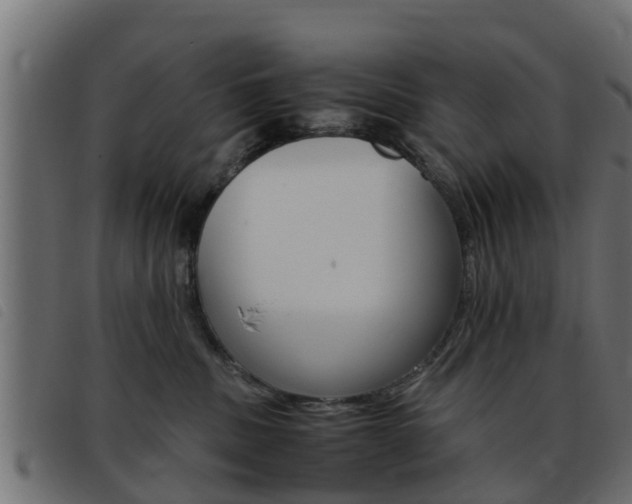 X0000093430379200710120923