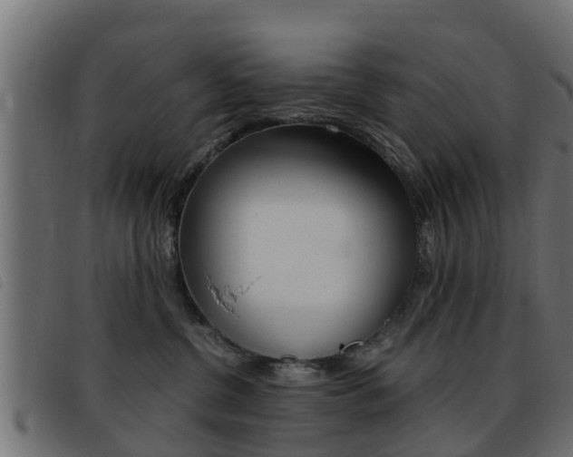 X0000093430380200710120923