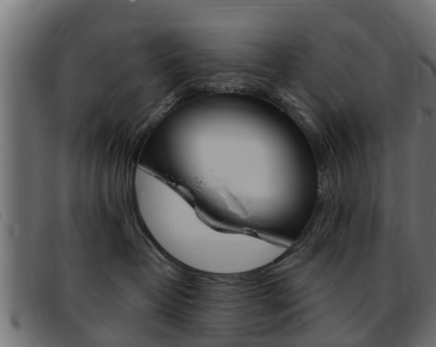 X0000093430382200710120923