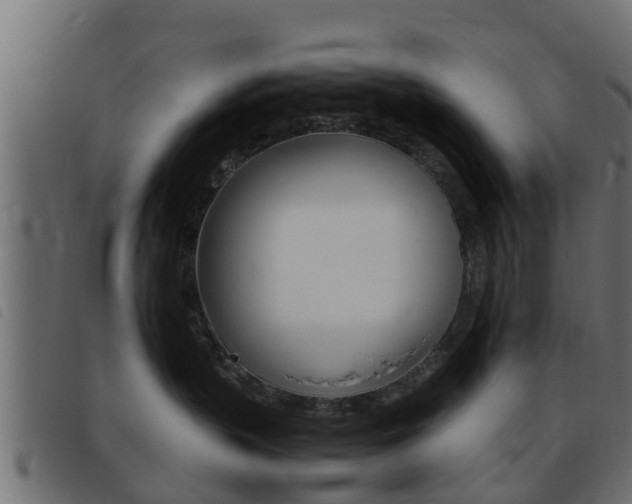 X0000093430383200710120923