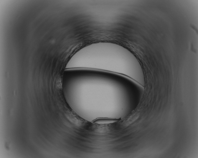 X0000093430384200710120923