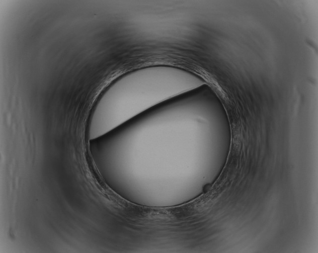 X0000093430386200710120922