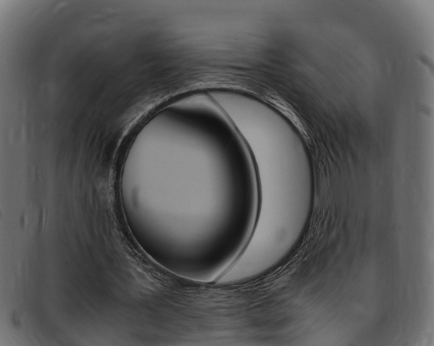 X0000093430387200710120922