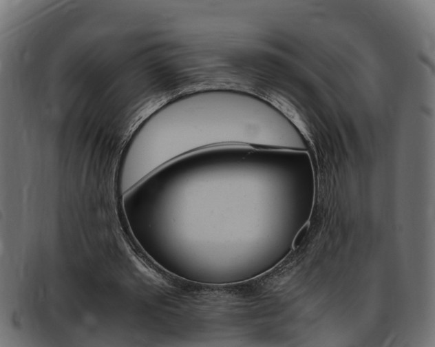 X0000093430389200710120922