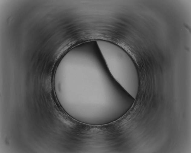 X0000093430390200710120922