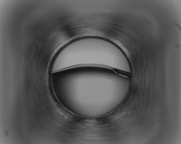 X0000093430391200710120922