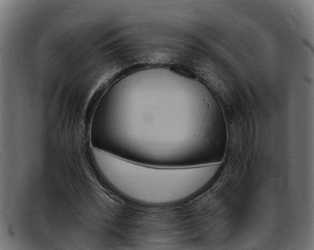 X0000093430392200710120922