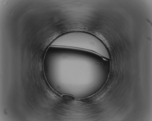 X0000093430393200710120922