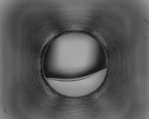 X0000093430395200710120922