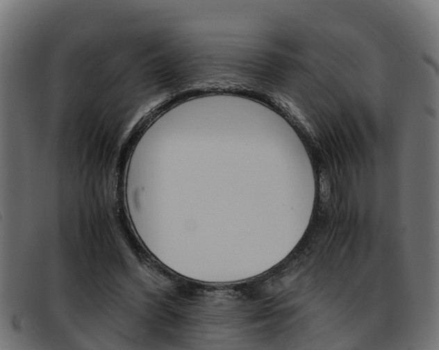 X0000093430396200710120922