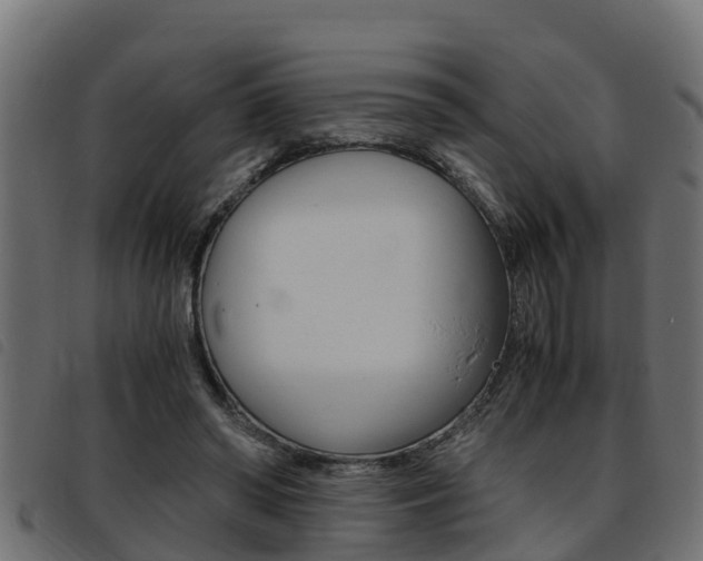 X0000093430398200710120922
