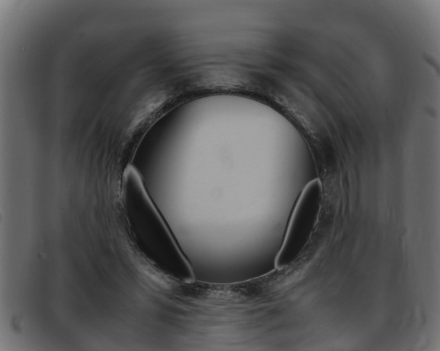 X0000093430399200710120922