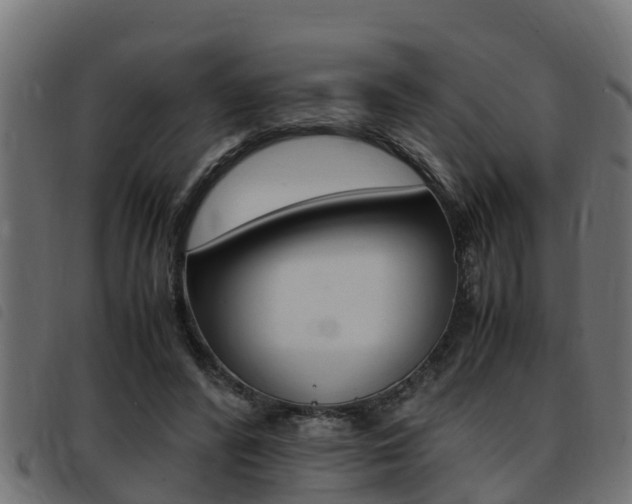 X0000093430400200710120922