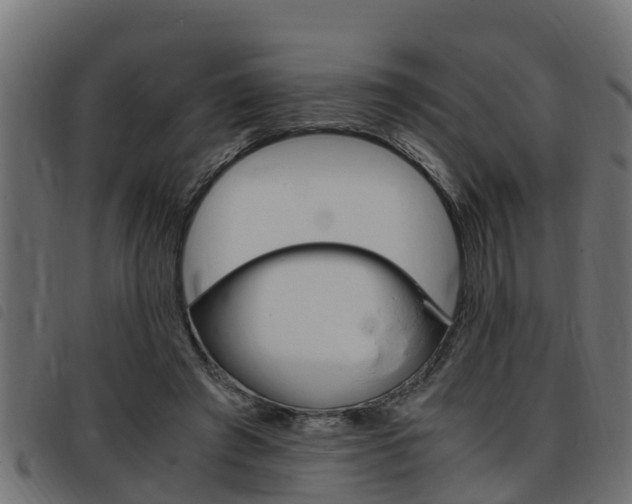 X0000093430401200710120922