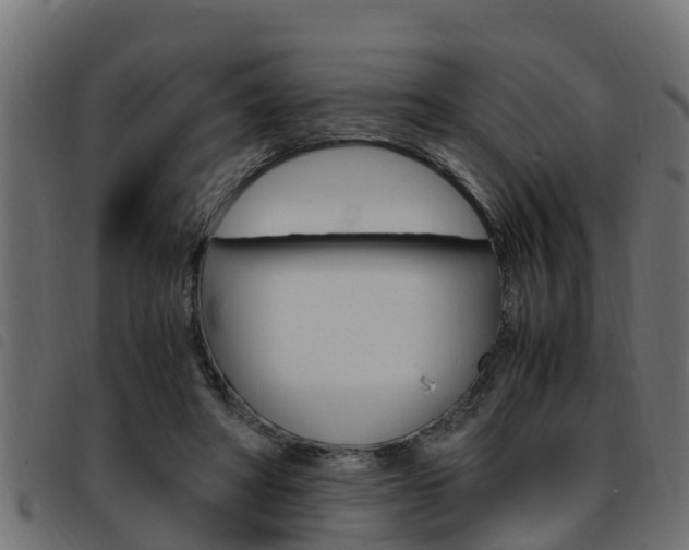 X0000093430402200710120922