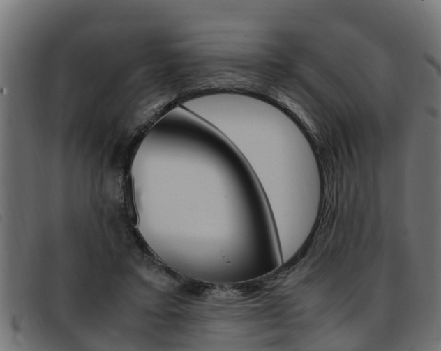 X0000093430403200710120922