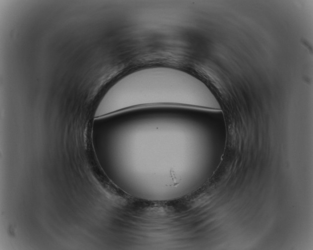 X0000093430404200710120922