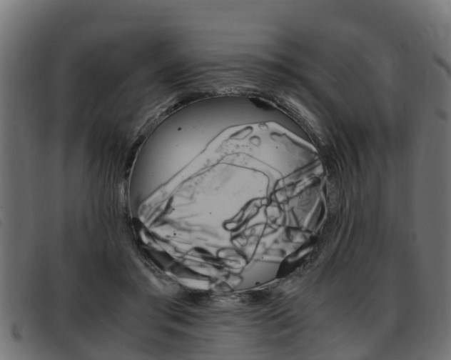 X0000093430405200710120922
