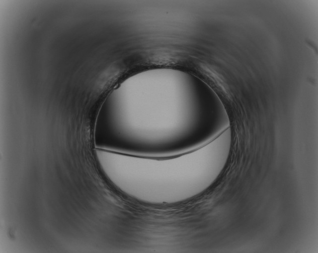 X0000093430407200710120922