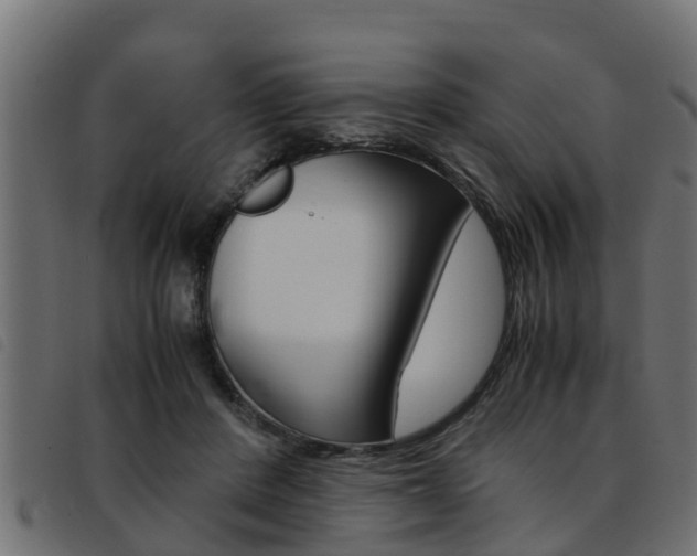 X0000093430408200710120922