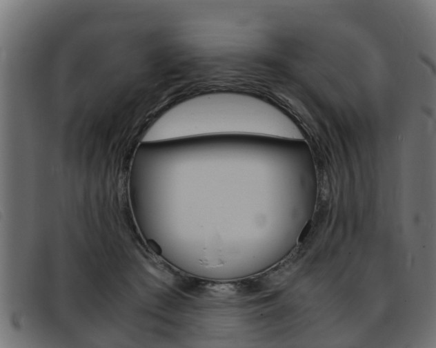 X0000093430409200710120922