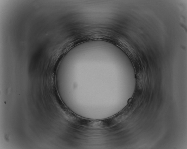 X0000093430410200710120922