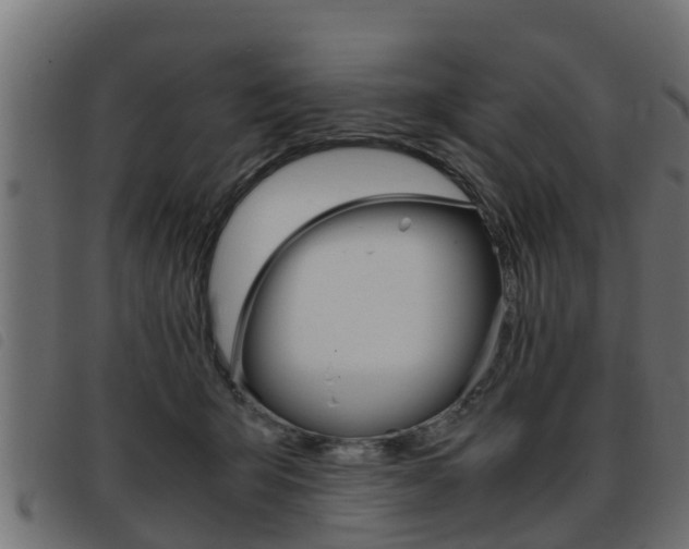 X0000093430415200710120922