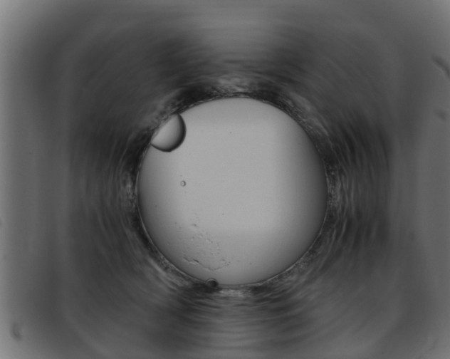 X0000093430418200710120922