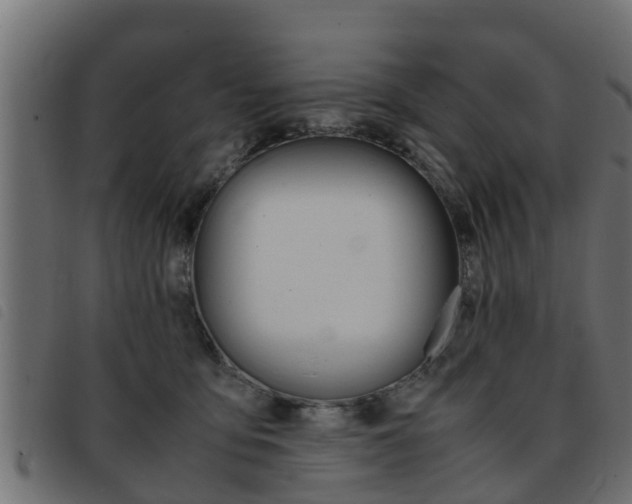 X0000093430419200710120921