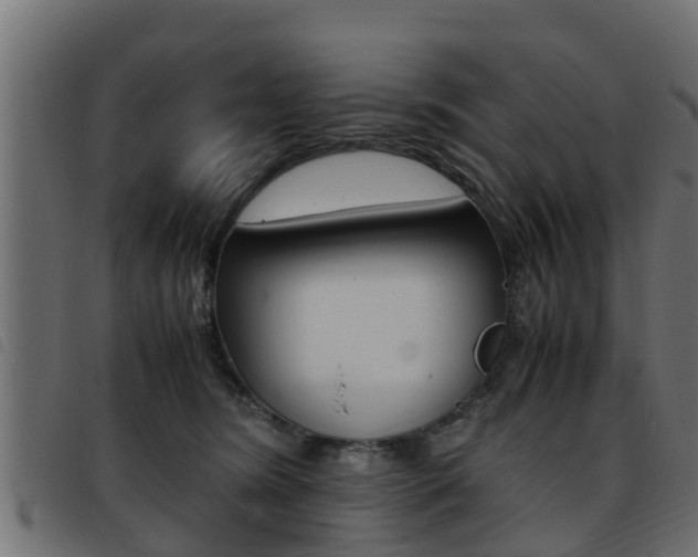 X0000093430420200710120921