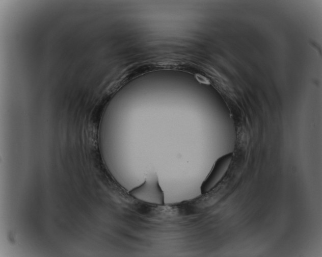 X0000093430421200710120921