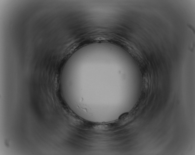 X0000093430422200710120921