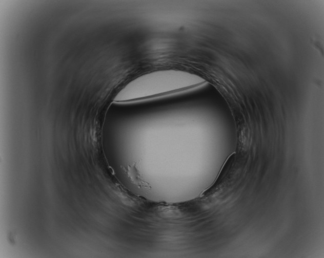 X0000093430424200710120921