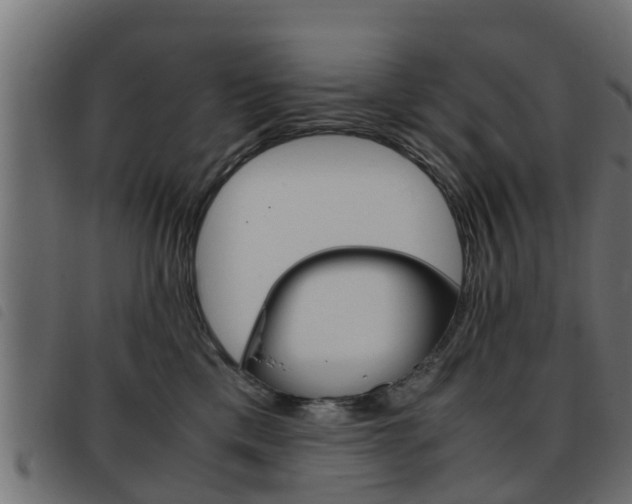 X0000093430425200710120921