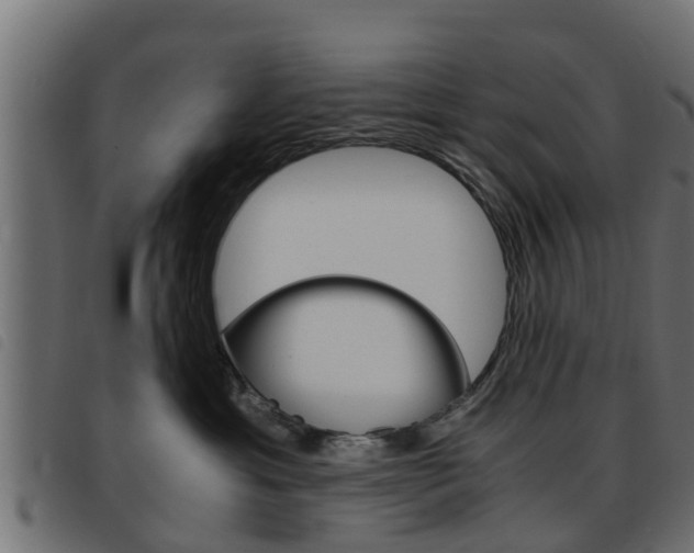 X0000093430429200710120921