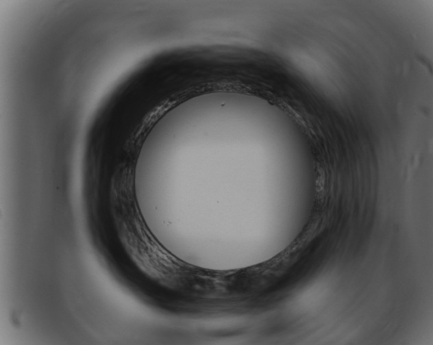 X0000093430430200710120921
