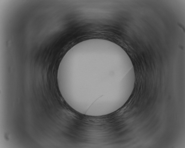 X0000093430431200710120921