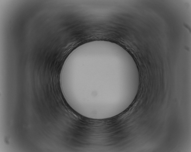 X0000093430432200710120921
